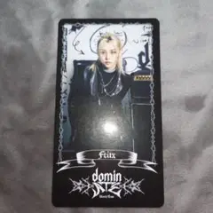 domin ATE フィリックス ランダムトレカ