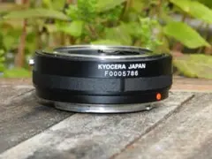 Item thumbnail for item 4cc5f00a-a863-4934-bef1-44994c647f70