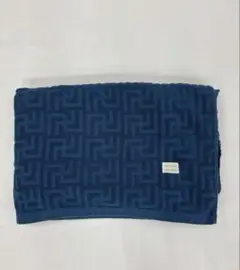 AYO Towel Blanket