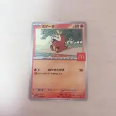 ポケモンカード　ホゲータ マクドナルド　プロモ