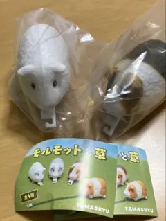 モルモット　モルモットと草　三毛　シロ　２点セット