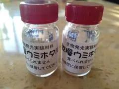 【匿名配送】発光実験用乾燥ウミホタル　0.7g×2個セット