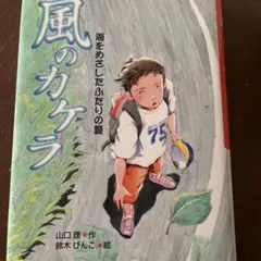 風のカケラ : 海をめざしたふたりの夏