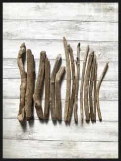 Item thumbnail for item febdc55c-c98e-48ff-8734-d395f32a176c