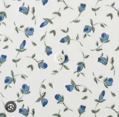 Item thumbnail for item 9d810561-ea8e-4028-b2fe-14cb28ba8bae