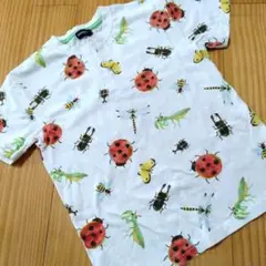 Item thumbnail for item f83020a3-a0e7-4ac3-8f14-4612e4334bd8