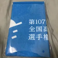 甲子園タオル 新品未開封