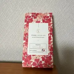 丹青会ギフト　イヴァンシュヴァリエ　2箱セット 🍫話題沸騰】三越伊勢丹バレンタイン限定・イヴァン