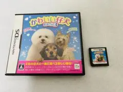 かわいい仔犬 DS3 ニンテンドーDS 説明書付き