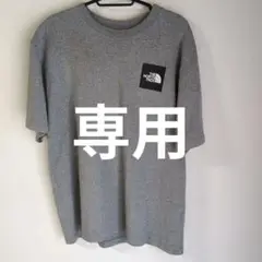 THE NORTH FACE グレー Tシャツ