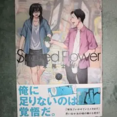 2025年最新】spotted flower 7の人気アイテム - メルカリ