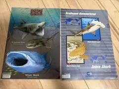 サメ　クリアファイル　2枚セット