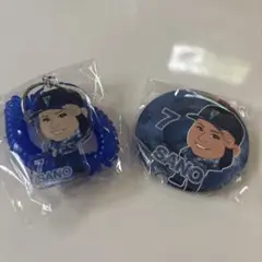 佐野恵太　スターナイト