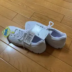 数年前に購入した物ですが未使用です。