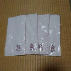 Item thumbnail for item 5da03a59-125f-4b6e-8d74-37ffbd4f15e9