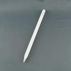 Apple Pencil Pro USED美品 アップルペンシル プロ 正規品