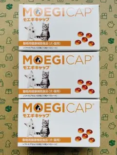 Item thumbnail for item 09865902-9d7d-44a6-a8af-a13f6f145adf