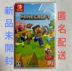 Minecraft Nintendo Switchマインクラフト