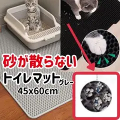 Item thumbnail for item c9c1e484-c780-44c3-aa43-239679364a16