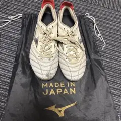 モレリアネオ4 袋付き