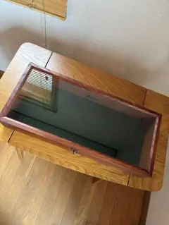 ACME FURNITURE ショーケース