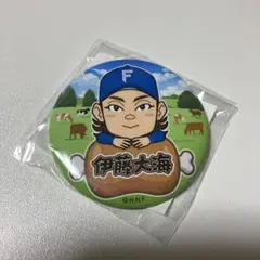 北海道日本ハムファイターズ 北海道肉祭り 2025 伊藤大海 缶バッチ