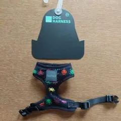 Item thumbnail for item 3ca3c2d6-7b39-48c3-a53f-08dbac829d55