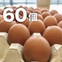 蔵王鶏園の「眠れる森のたまご」
