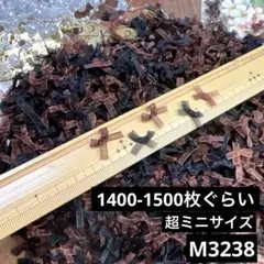 Item thumbnail for item a5e1220f-78d4-4fad-898c-c7cf35018006