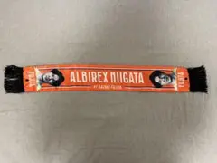 アルビレックス新潟 藤田和輝 #1 アルビガラポン1000円くじ ミニスカーフ