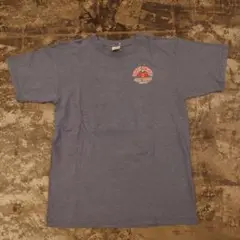 anvil　プリントtシャツ　Lサイズ　HONDURAS製　ネイビー　4108
