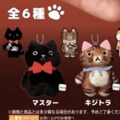 CACAOCAT カカオキャットもふもふぬいぐるみ ガチャ マスター キジトラ