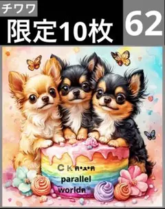 限定10枚　レアパネル生地　6柄セット　チワワ　犬パネル生地