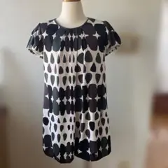 Item thumbnail for item 179595c3-428d-4021-91a7-127d482f8a0b