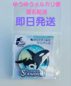鴨川シーワールド ピンバッジ レア セット 2025年最新】鴨川シーワールド ピンバッジの人気アイテム - メルカリ
