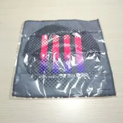 稲葉浩志 enⅣ ガチャ ファイバータオル グレー