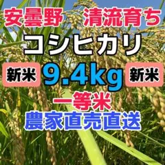 R4年産・新米【コシヒカリ白米 9.4kg一等米】安曇野産自家製