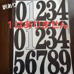 防水ナンバーステッカー1無し(2枚)