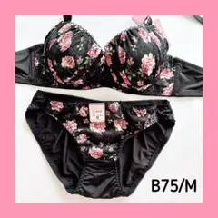 【♡/ラス1/sale】10479BK B75/M ブラショーツセット