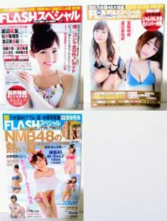 FLASHスペシャル グラビア 2014年 2015年 2016年 増刊号