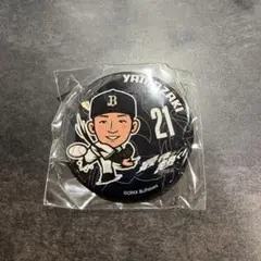 Item thumbnail for item ca134a9a-847e-4ff1-842c-e63f36612814