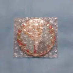 KADOKAWA カドコミ 2025 缶バッジ