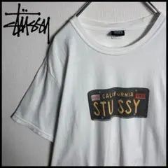 【入手困難】ステューシーセンターロゴ入りTシャツストリート白ホワイト