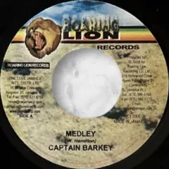 レゲエ MEDLEY CAPTAIN BARKEY / Mad Mad