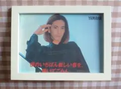 小室哲哉 / A5サイズ フォトフレーム