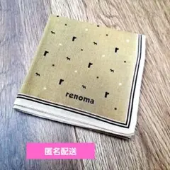 renoma　犬柄　24cm　ハンカチ