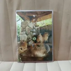 カピバラ日和 DVD