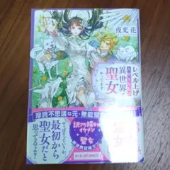 レベル上げ大好きな私が異世界で聖女やってます