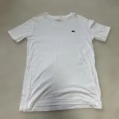 LACOSTE ホワイト Tシャツ サイズ2