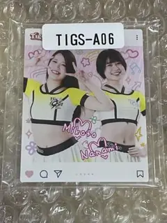 Item thumbnail for item 949aa033-e0c2-4e09-b573-17b9ead76dc3